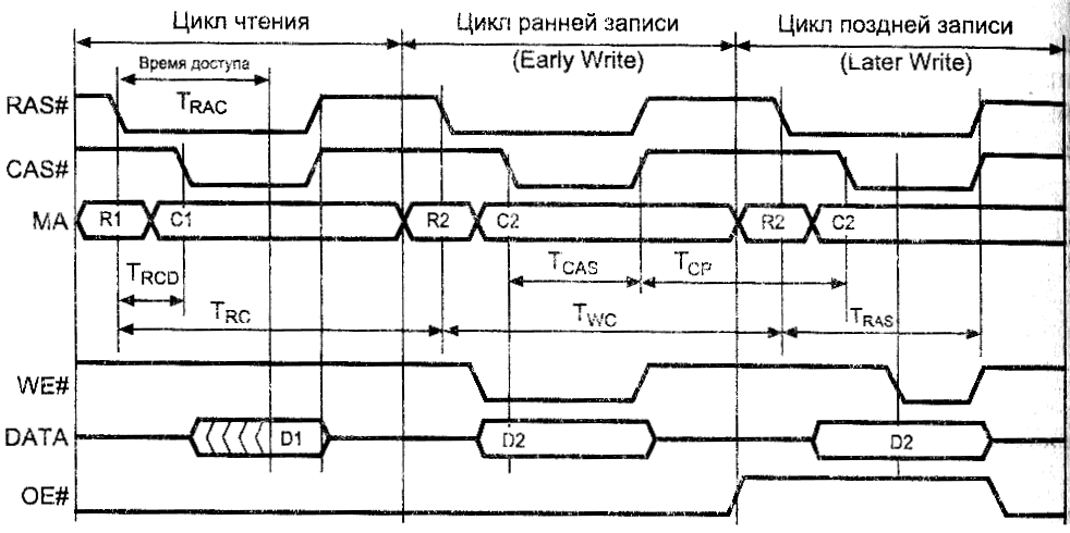 Ris01.tif (50804 bytes)