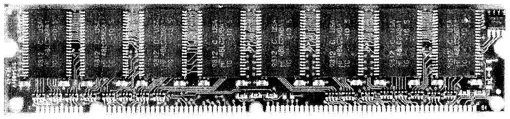 Ris12.tif (89834 bytes)