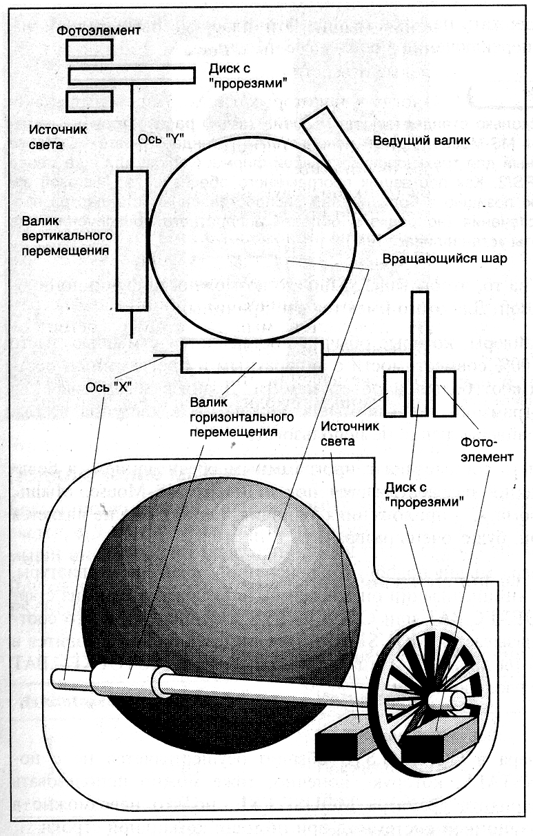 Ris06.tif (487721 bytes)